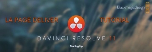 PAGE-DELIVER-DAVINCI-RESOLVE-11--500x171-.jpg