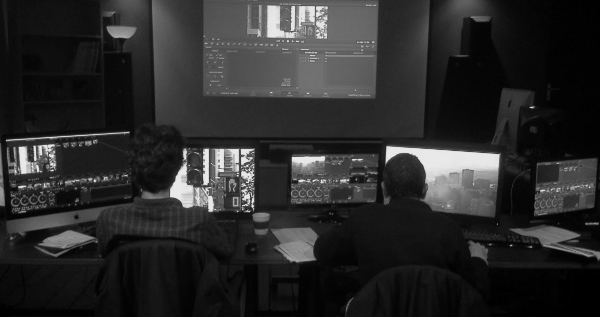 FORMATION DAVINCI RESOLVE 10 LAPINS BLEUS.jpg