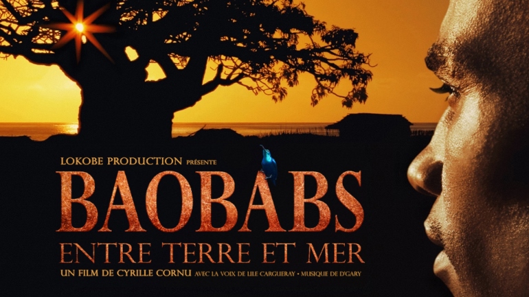 Baobabs entre Terre et ciel telaonne sous DAVINCI RESOLVE 11 par Jean michel Petit