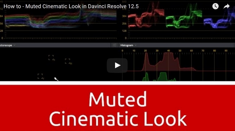 creer-le-look-muted-cinematic-dans-davinci-resolve-12-5-770x429