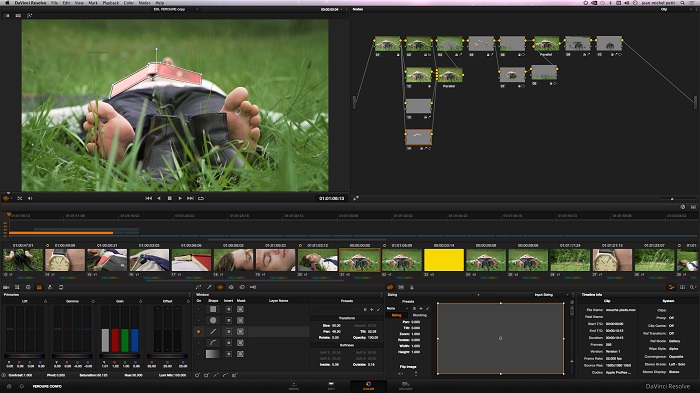 un trou de verdure DAVINCI RESOLVE 11