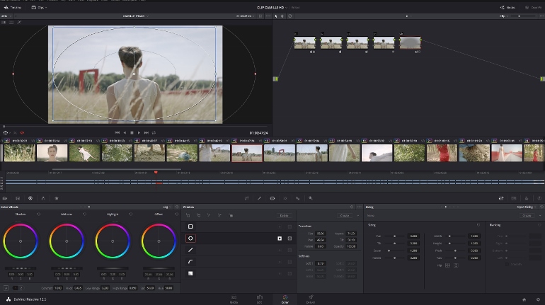 CLIP SEEDS DE CAMILLE DAVINCI RESOLVE 12.5