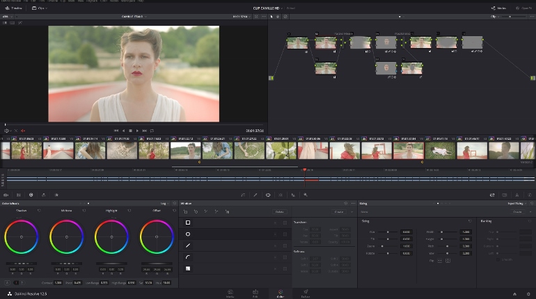 DAVINCI RESOLVE 12.5 CLIP CAMILLE SEEDS