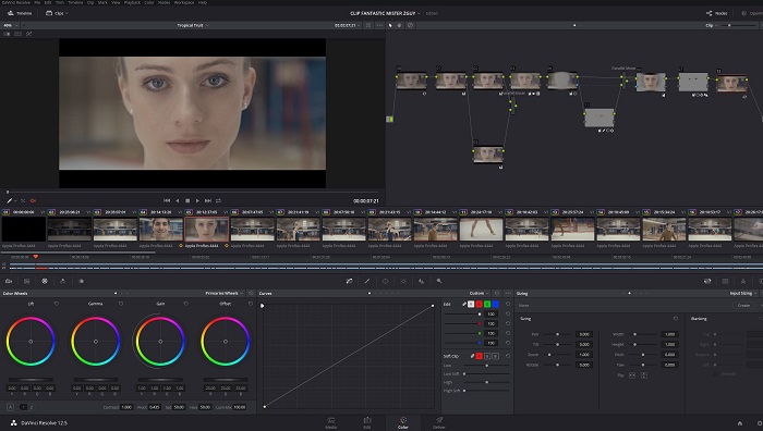 FANTASTIC MISTER ZGUY DAVINCI RESOLVE