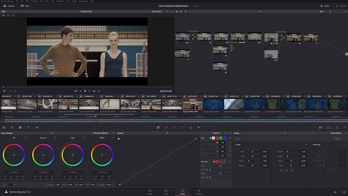 TROPICAL TRUIT etalonnage FANTASTIC MISTER ZGUY DAVINCI RESOLVE 12.5