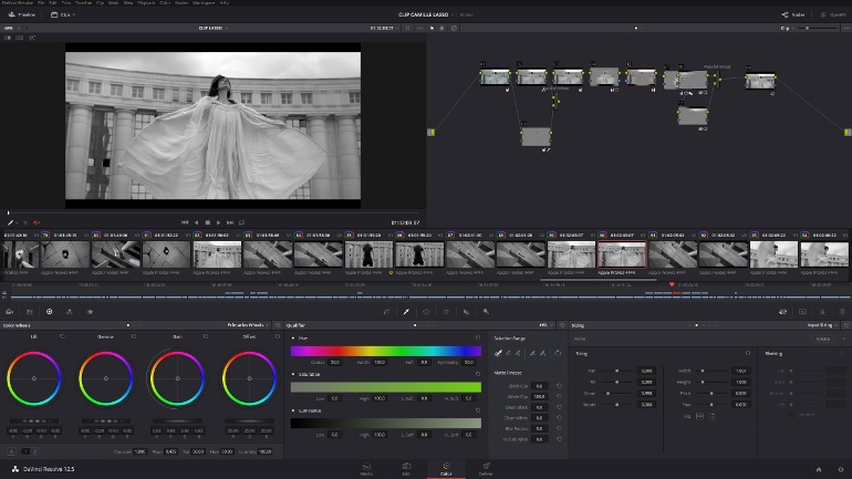 CLIP LASSO CAMILLE DAVINCI RESOLVE 12.5